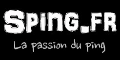 logo sping